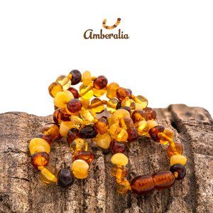 - Amberalia ADULT Baltic Amber Necklace - Polish Multicolor -17.7" (45cm)